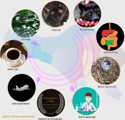 Kopi Luwak Koffie. 35 Gram Ongemalen Bonen. Direct Trade. Single Origin. The Original By Rich.Exclusive. -Koffieproducten 1200x1153 1