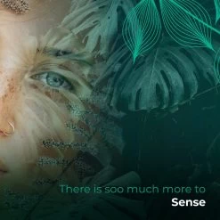 Soolong Sense Oost Timor Nr1000 Koffiebonen Smooth Lacau - Speciality Koffie Arabica Medium Roast Met Rijke Kruidige Smaak Met Heerlijke Ondertonen Van Karamel - Zak 250gram -Koffieproducten 1200x1200 142